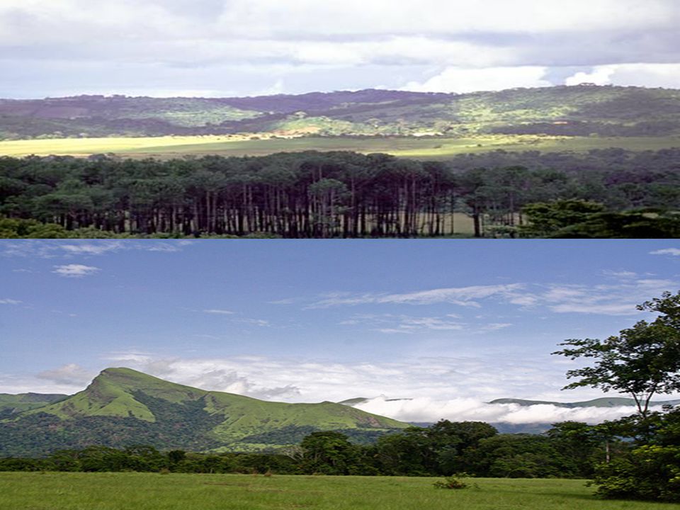 Media Guinea ó Futa-Djalón: Clima seco y fresco, es la fuente de los tres ríos más grandes de África Occidental: el Níger, Senegal y Gambia.