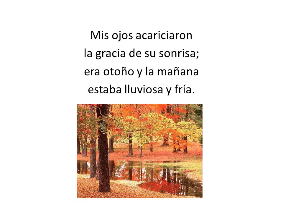 Mis ojos acariciaron la gracia de su sonrisa; era otoño y la mañana estaba lluviosa y fría.