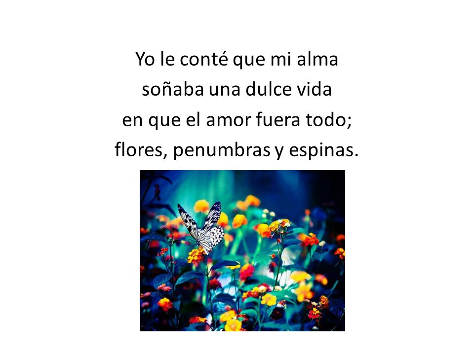 Yo le conté que mi alma soñaba una dulce vida en que el amor fuera todo; flores, penumbras y espinas.