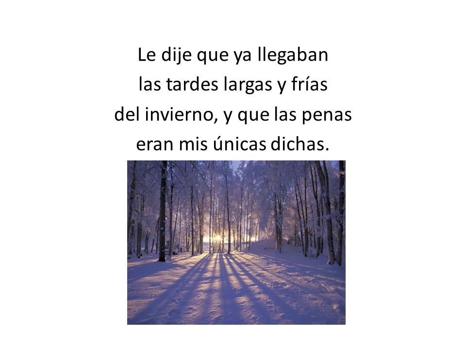 Le dije que ya llegaban las tardes largas y frías del invierno, y que las penas eran mis únicas dichas.