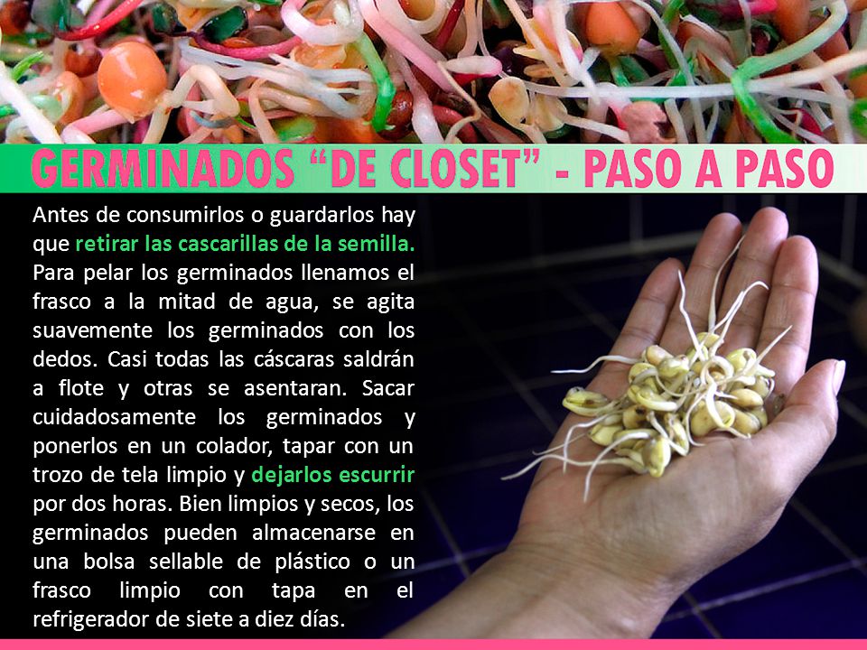 Antes de consumirlos o guardarlos hay que retirar las cascarillas de la semilla.