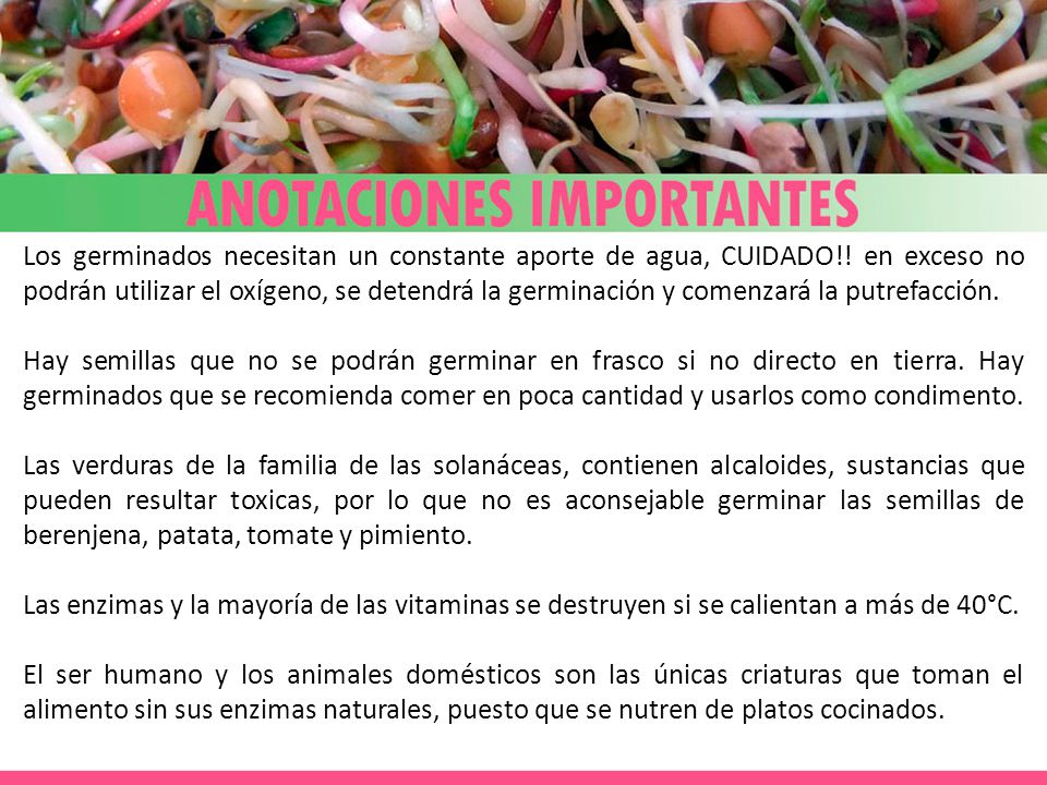 Los germinados necesitan un constante aporte de agua, CUIDADO