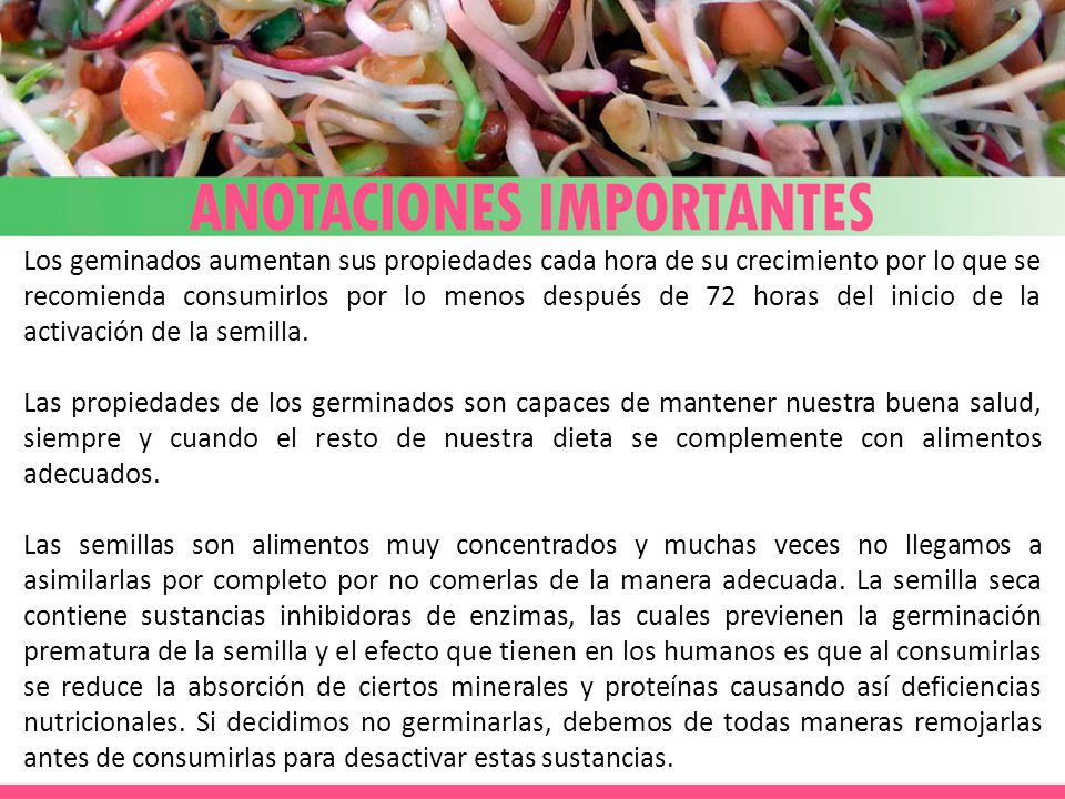 Los geminados aumentan sus propiedades cada hora de su crecimiento por lo que se recomienda consumirlos por lo menos después de 72 horas del inicio de la activación de la semilla.