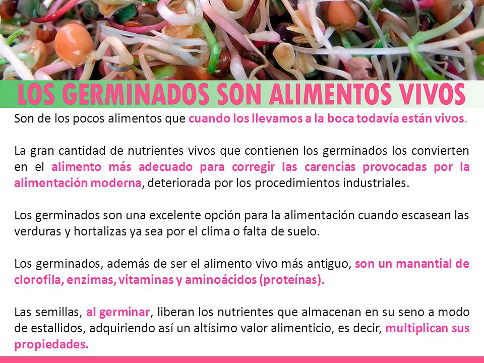 Son de los pocos alimentos que cuando los llevamos a la boca todavía están vivos.