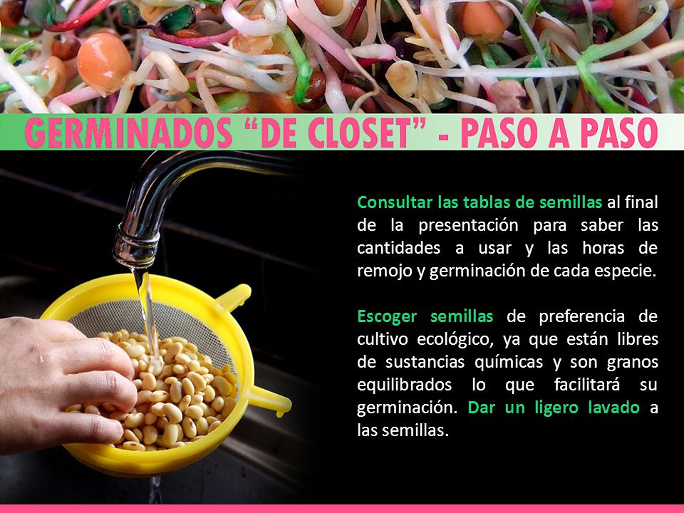Consultar las tablas de semillas al final de la presentación para saber las cantidades a usar y las horas de remojo y germinación de cada especie.