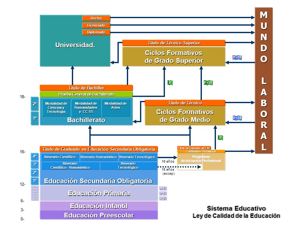 M UNDO LABORAL Universidad. Ciclos Formativos de Grado Superior