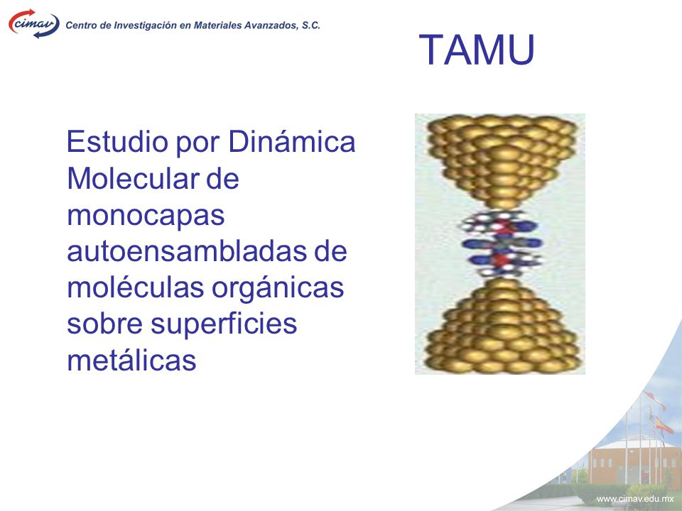 TAMU Estudio por Dinámica Molecular de monocapas autoensambladas de moléculas orgánicas sobre superficies metálicas.