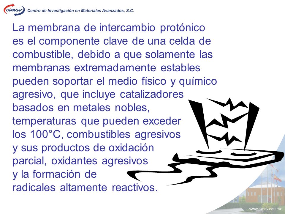 La membrana de intercambio protónico es el componente clave de una celda de combustible, debido a que solamente las membranas extremadamente estables pueden soportar el medio físico y químico agresivo, que incluye catalizadores basados en metales nobles,