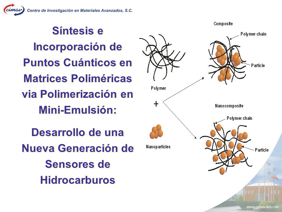 Desarrollo de una Nueva Generación de Sensores de Hidrocarburos