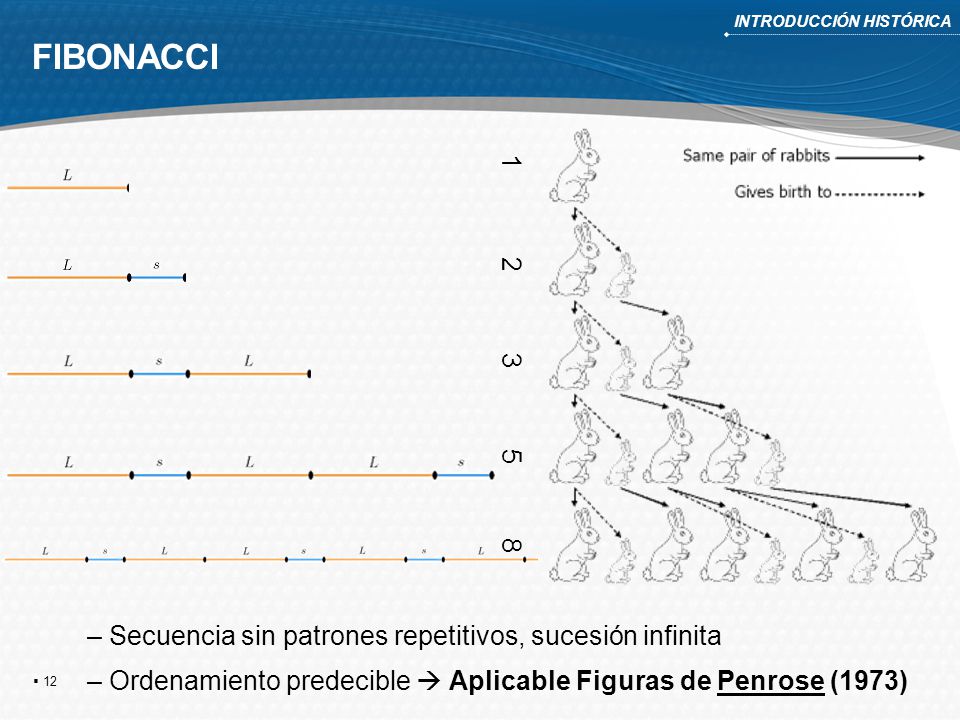INTRODUCCIÓN HISTÓRICA