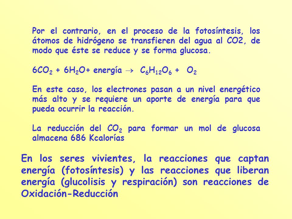 Por el contrario, en el proceso de la fotosíntesis, los átomos de hidrógeno se transfieren del agua al CO2, de modo que éste se reduce y se forma glucosa.