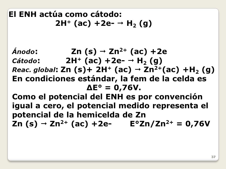 El ENH actúa como cátodo: 2H+ (ac) +2e-  H2 (g)