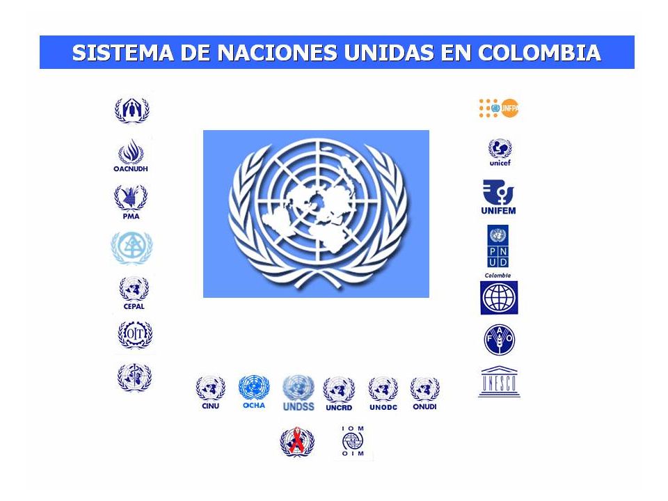 Somos un equipo amplio de entidades especializadas con oficinas en buena parte del país.