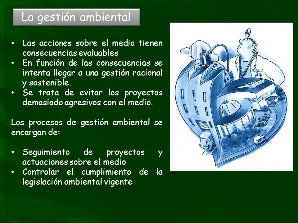 La gestión ambiental Las acciones sobre el medio tienen consecuencias evaluables.
