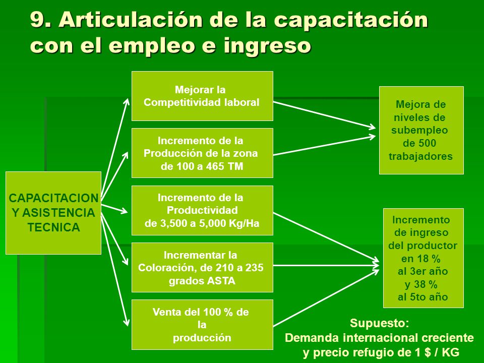 9. Articulación de la capacitación con el empleo e ingreso