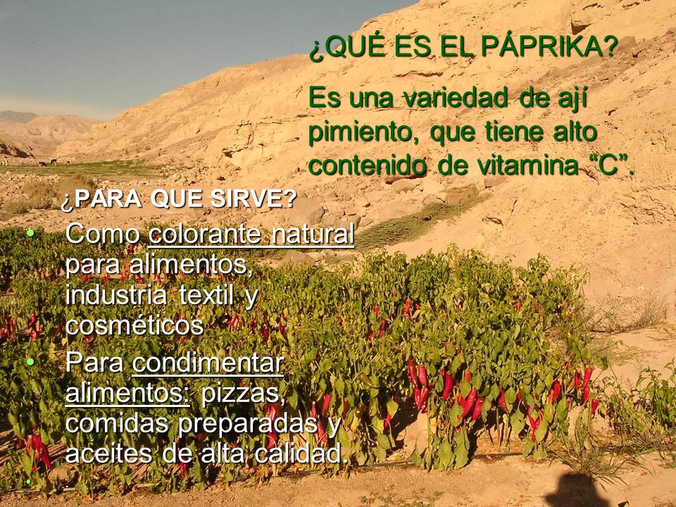 Como colorante natural para alimentos, industria textil y cosméticos