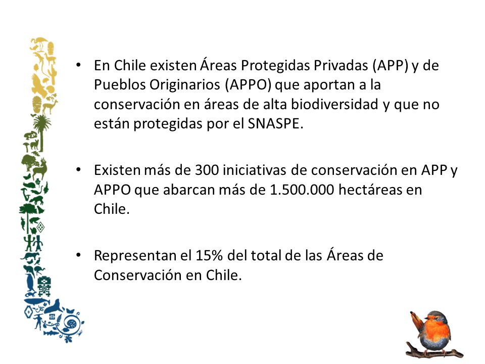 Representan el 15% del total de las Áreas de Conservación en Chile.