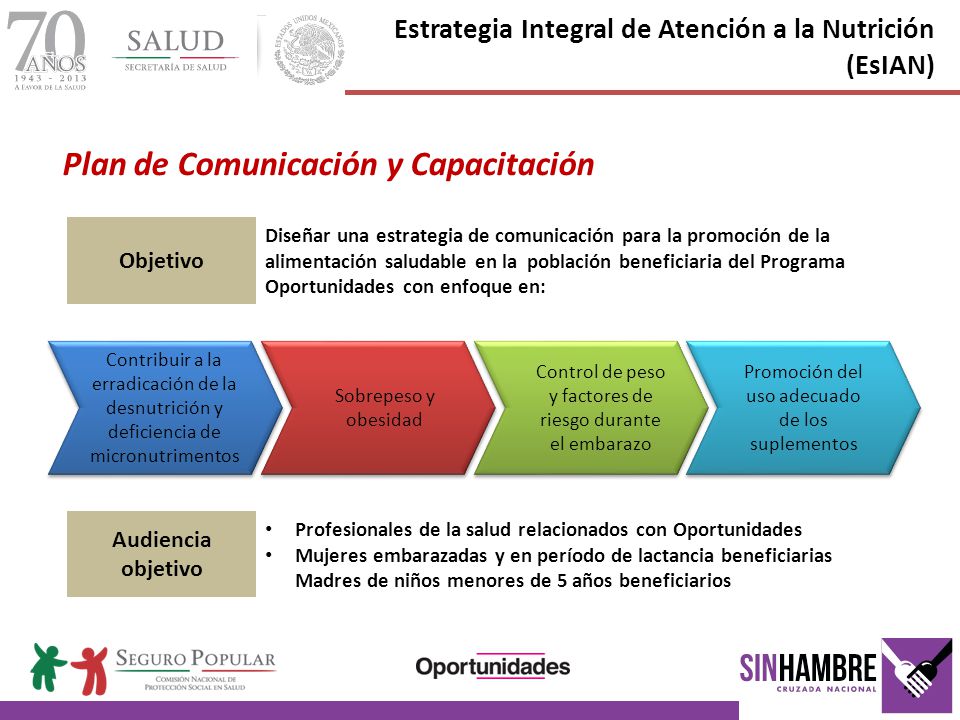 Plan de Comunicación y Capacitación