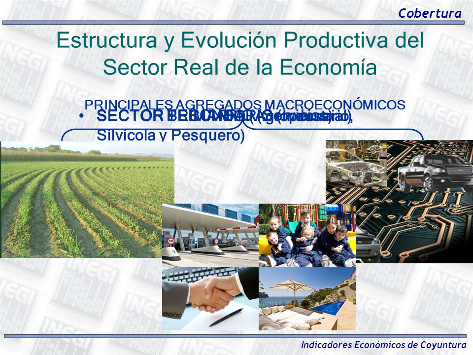 Estructura y Evolución Productiva del Sector Real de la Economía