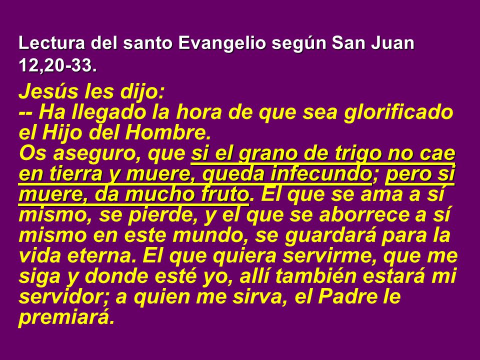 -- Ha llegado la hora de que sea glorificado el Hijo del Hombre.
