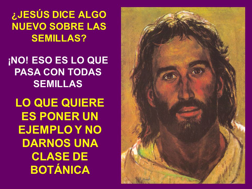LO QUE QUIERE ES PONER UN EJEMPLO Y NO DARNOS UNA CLASE DE BOTÁNICA