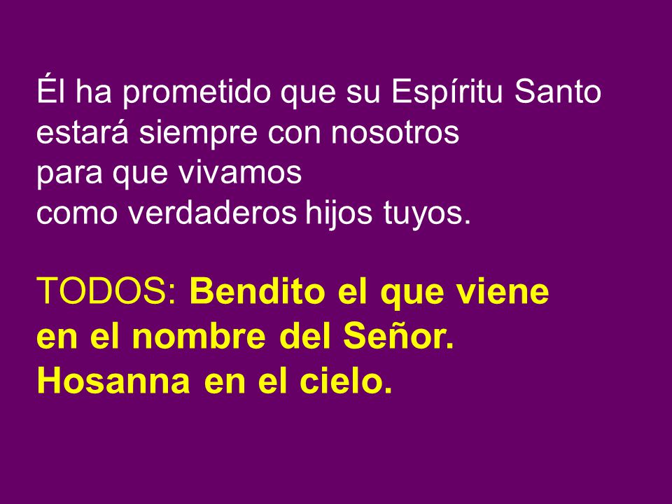 TODOS: Bendito el que viene en el nombre del Señor.