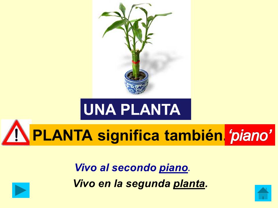PLANTA significa también..... ‘piano’