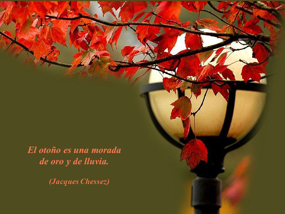 El otoño es una morada de oro y de lluvia.
