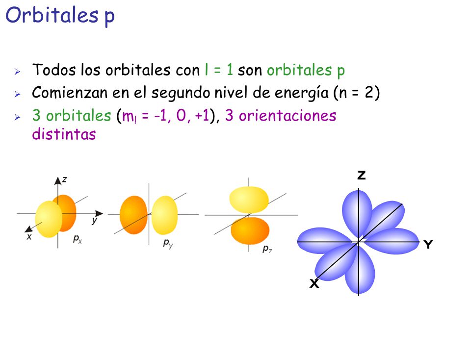 Orbitales p Todos los orbitales con l = 1 son orbitales p