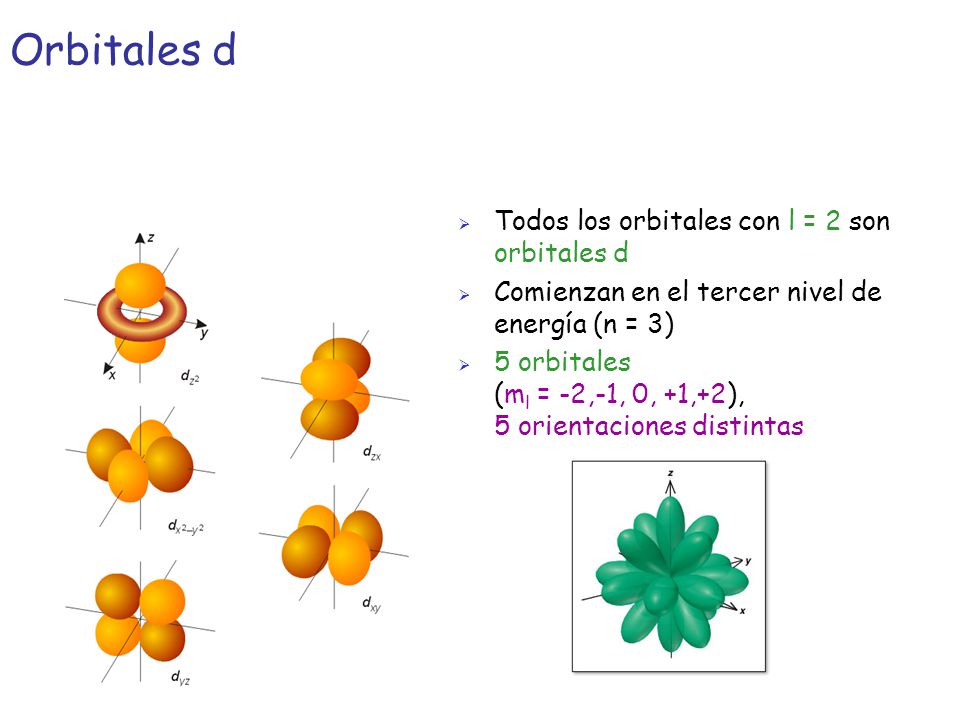 Orbitales d Todos los orbitales con l = 2 son orbitales d