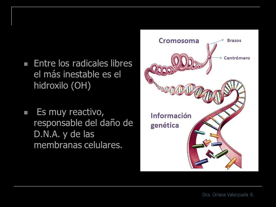 Entre los radicales libres el más inestable es el hidroxilo (OH)
