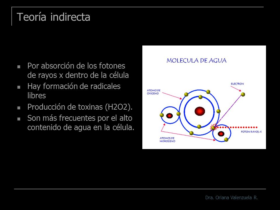 Teoría indirecta Por absorción de los fotones de rayos x dentro de la célula. Hay formación de radicales libres.