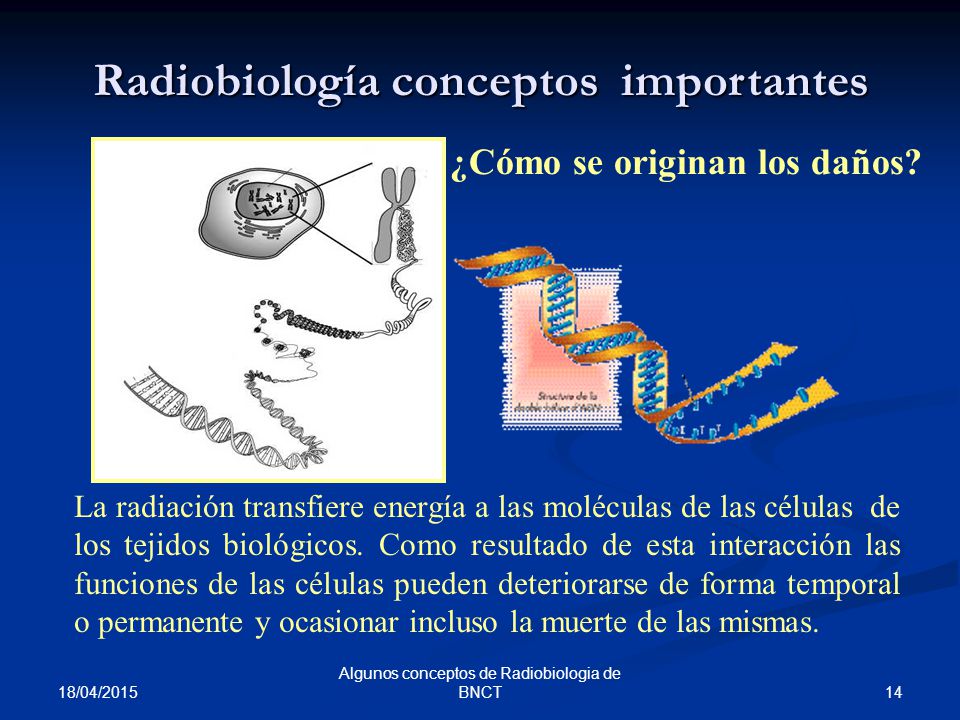 Radiobiología conceptos importantes ¿Cómo se originan los daños