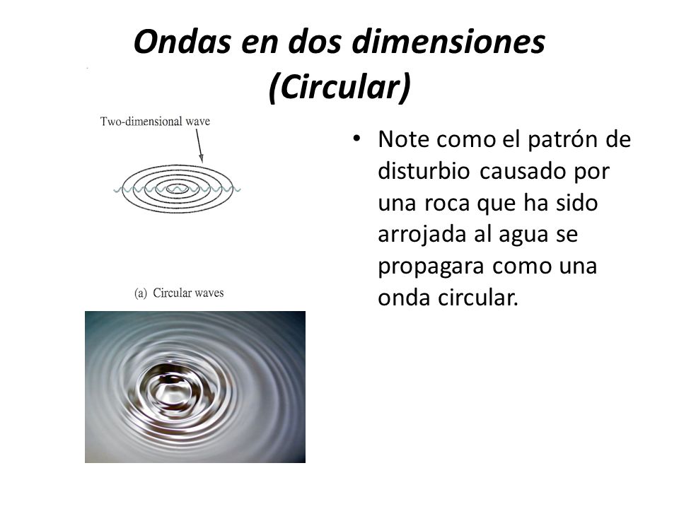 Ondas en dos dimensiones (Circular)