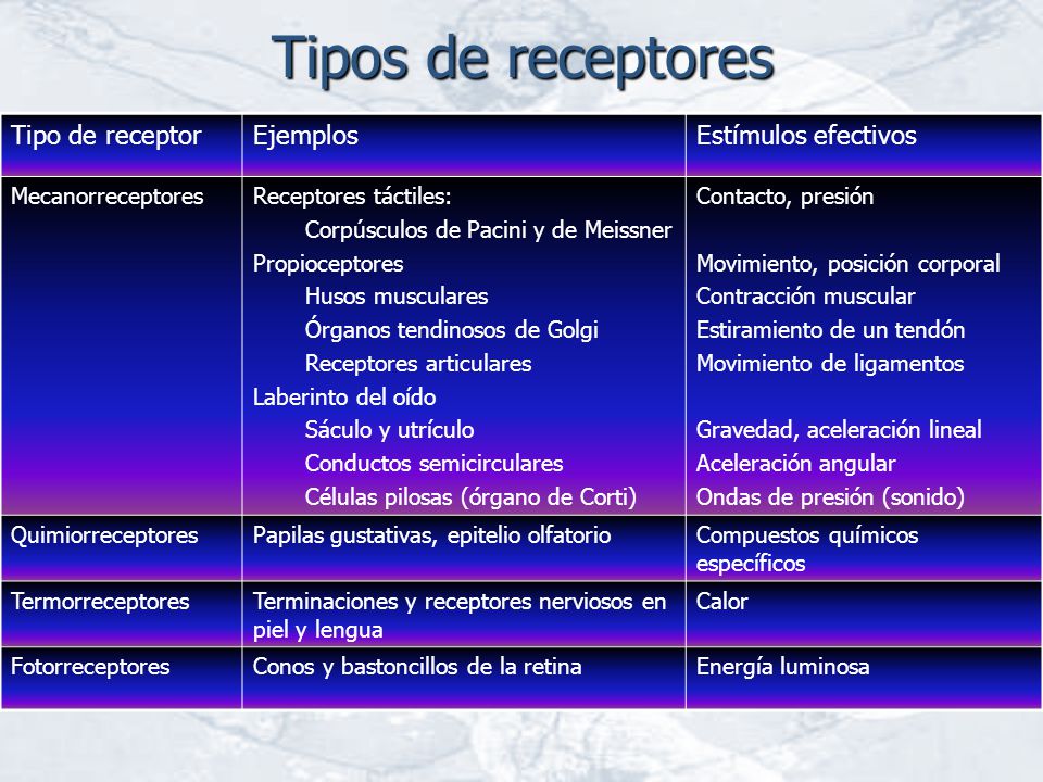 Tipos de receptores Tipo de receptor Ejemplos Estímulos efectivos