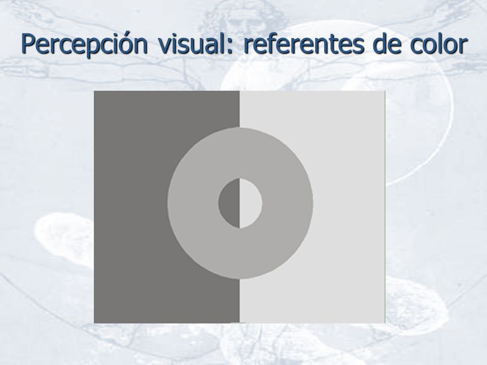 Percepción visual: referentes de color