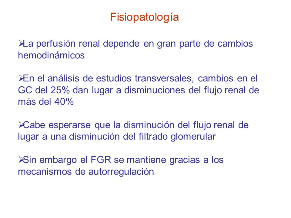 Fisiopatología La perfusión renal depende en gran parte de cambios hemodinámicos.