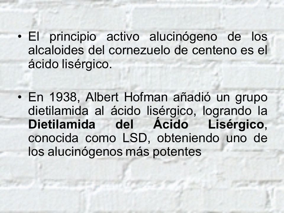 El principio activo alucinógeno de los alcaloides del cornezuelo de centeno es el ácido lisérgico.