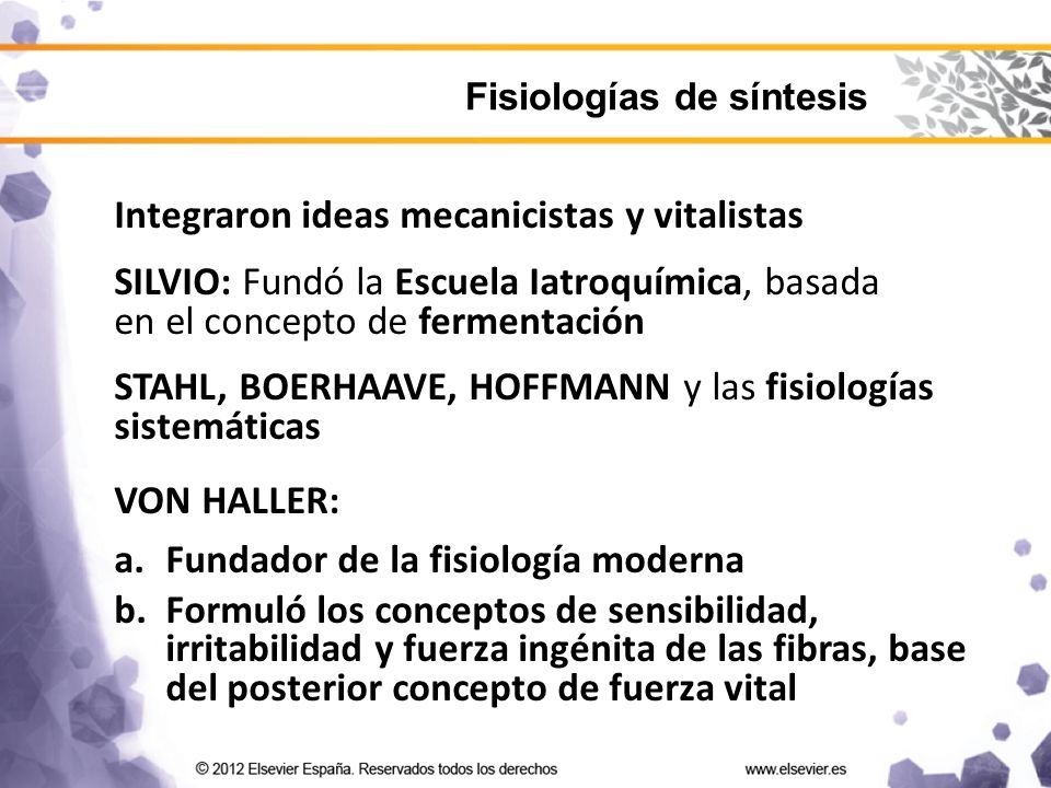 Integraron ideas mecanicistas y vitalistas