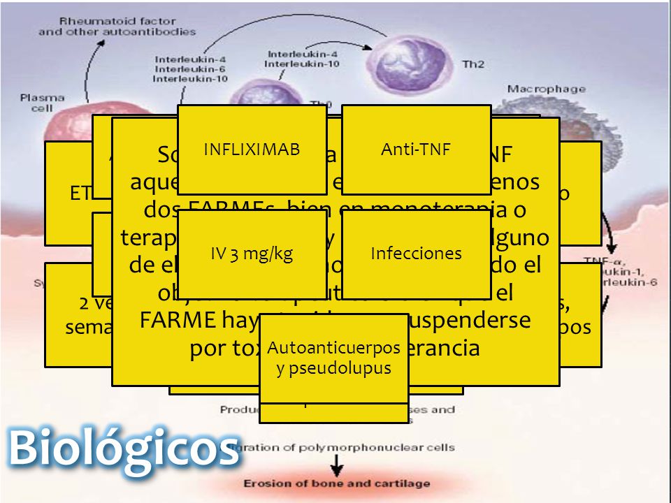 ETANERCEPT Anti-TNF. Subcutáneo. 2 veces por semana 25 mg. Mejoría a las 2 semanas- 3 meses. Infecciones, autoanticuerpos.