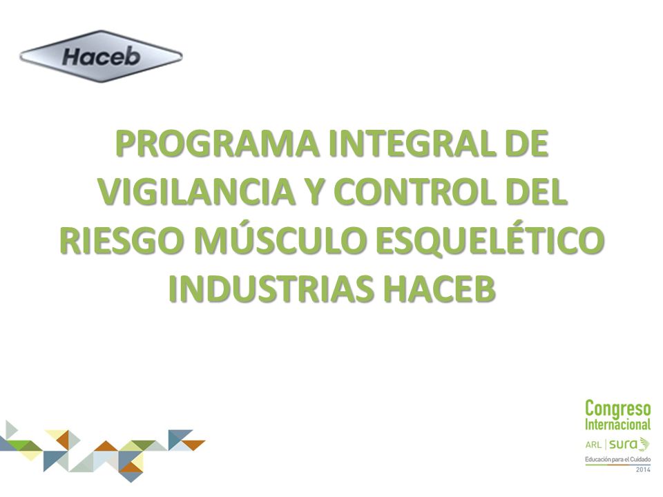 PROGRAMA INTEGRAL DE VIGILANCIA Y CONTROL DEL RIESGO MÚSCULO ESQUELÉTICO INDUSTRIAS HACEB