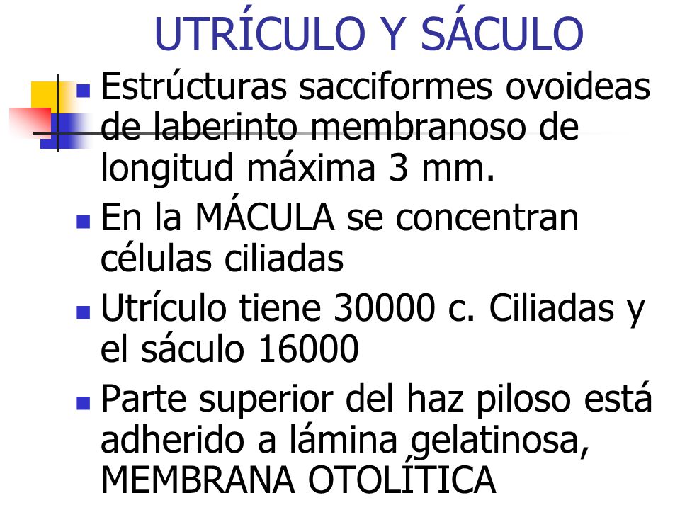 UTRÍCULO Y SÁCULO Estrúcturas sacciformes ovoideas de laberinto membranoso de longitud máxima 3 mm.