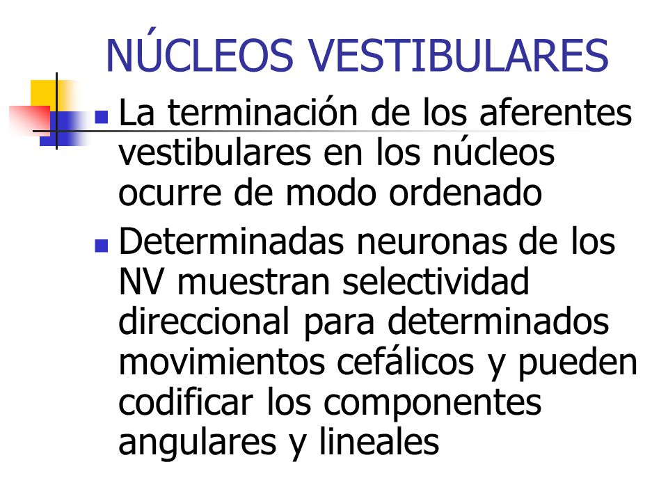NÚCLEOS VESTIBULARES La terminación de los aferentes vestibulares en los núcleos ocurre de modo ordenado.