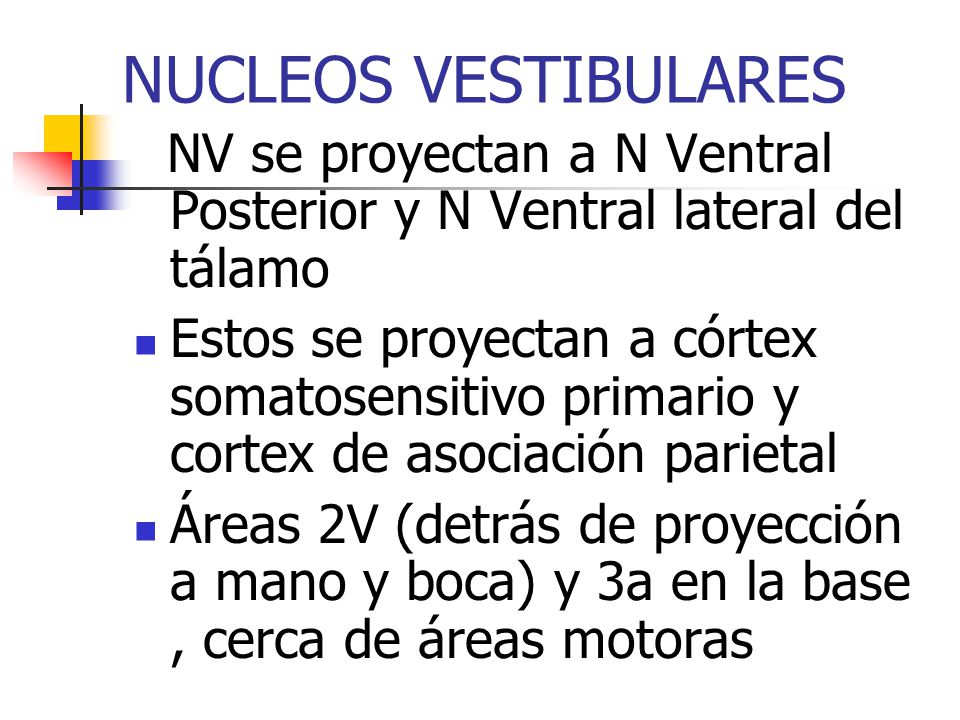 NUCLEOS VESTIBULARES NV se proyectan a N Ventral Posterior y N Ventral lateral del tálamo.