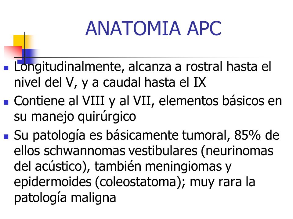 ANATOMIA APC Longitudinalmente, alcanza a rostral hasta el nivel del V, y a caudal hasta el IX.