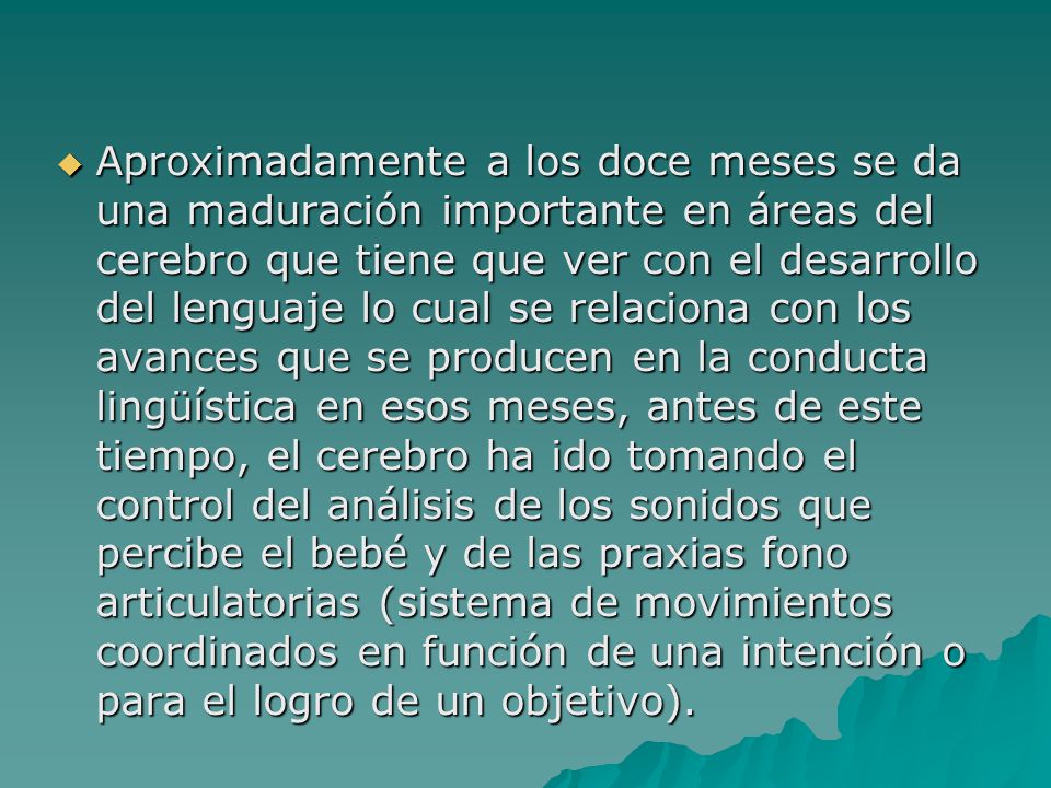Aproximadamente a los doce meses se da una maduración importante en áreas del cerebro que tiene que ver con el desarrollo del lenguaje lo cual se relaciona con los avances que se producen en la conducta lingüística en esos meses, antes de este tiempo, el cerebro ha ido tomando el control del análisis de los sonidos que percibe el bebé y de las praxias fono articulatorias (sistema de movimientos coordinados en función de una intención o para el logro de un objetivo).