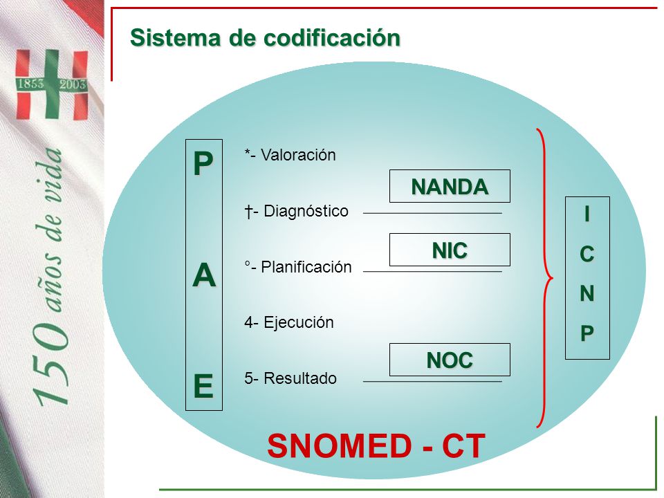 P A E SNOMED - CT Sistema de codificación NANDA I C N NIC P NOC