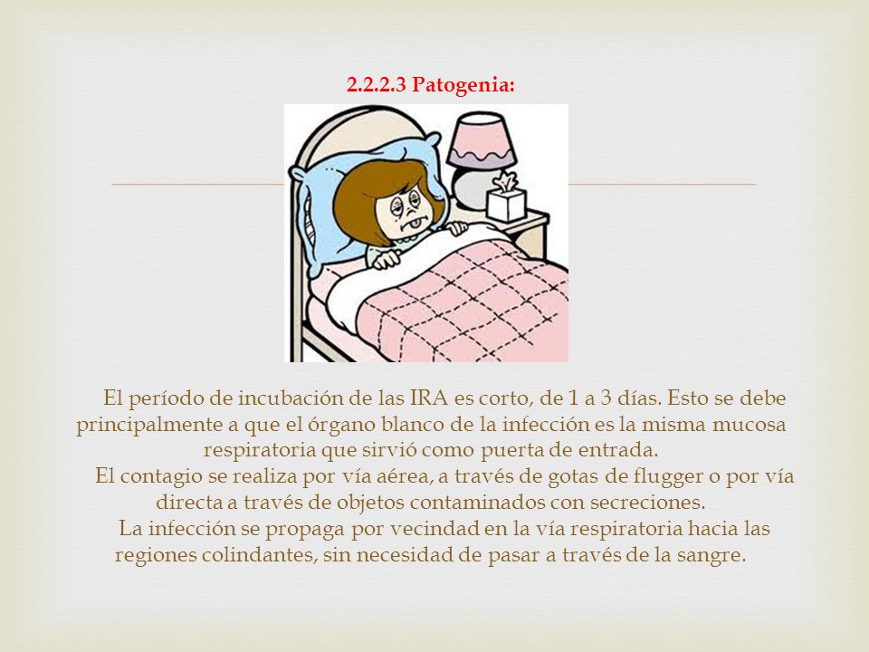Patogenia: El período de incubación de las IRA es corto, de 1 a 3 días.