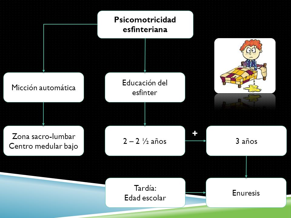 Psicomotricidad esfinteriana
