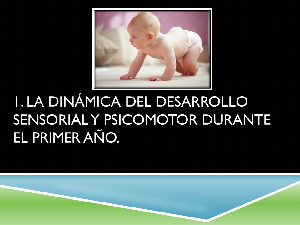 1. La dinámica del desarrollo sensorial y psicomotor durante el primer año.
